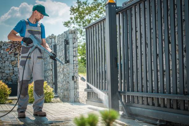 Best Paint Preparation  in Chesaning, MI