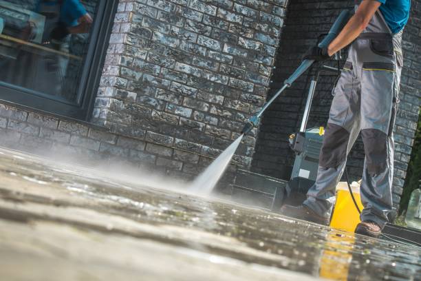 Best Sidewalk and Walkway Cleaning  in Chesaning, MI
