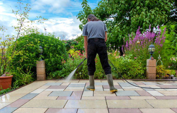 Animal Enclosure Cleaning in Chesaning, MI